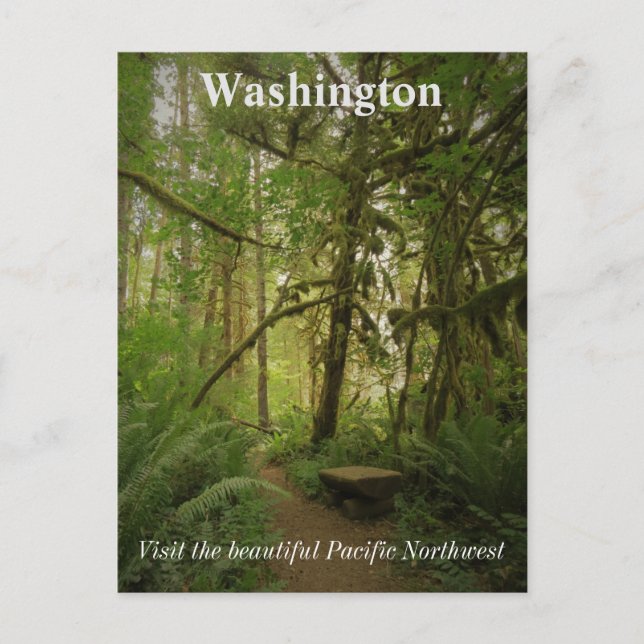 Carte Postale Paisible Green Forest Trail Washington (Devant)