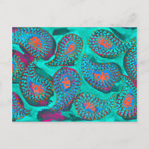 Carte Postale Paisley mola, mola paisley