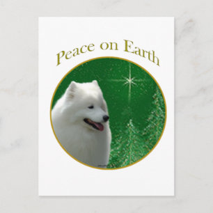Carte Postale Paix Samoyée