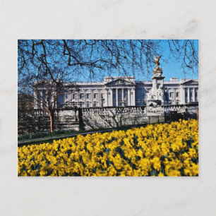 Carte Postale Palais de Buckingham, fleurs de Londres
