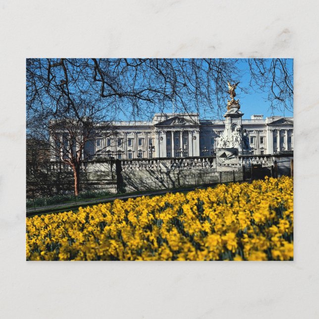Carte Postale Palais de Buckingham, Londres (Devant)