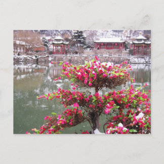 Carte Postale Palais d'hiver Fleurs