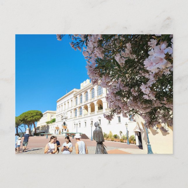 Carte Postale Palais du Prince (Devant)