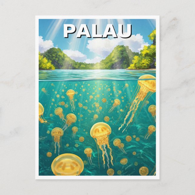 Carte Postale Palau Jellyfish Lake Travel (Devant)