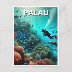 Carte Postale Palau Plongée Plongée Travel