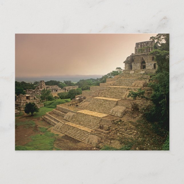 Carte Postale Palenque, Chiapas, Mexique, Maya (Devant)