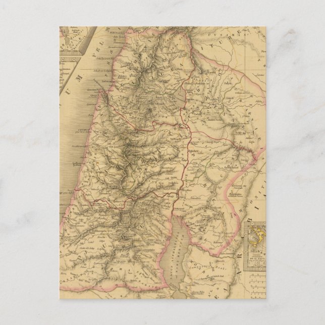 Carte Postale Palestine (Devant)