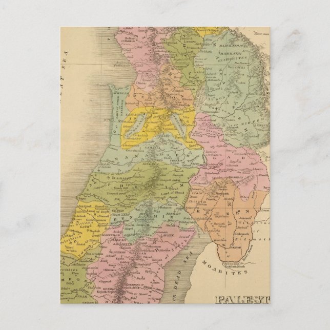 Carte Postale Palestine 3 (Devant)