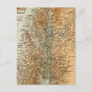Carte Postale Palestine 3