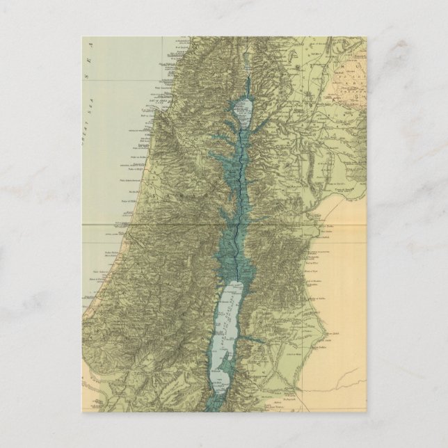 Carte Postale Palestine 5 (Devant)