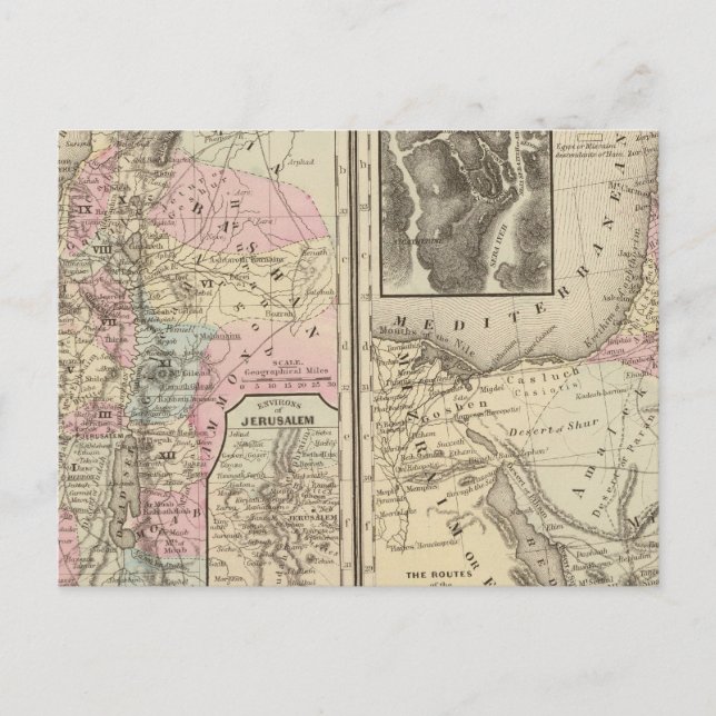 Carte Postale Palestine, Israël (Devant)