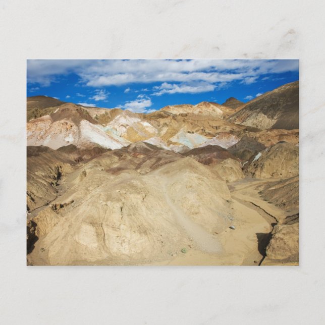 Carte Postale Palette d'artiste (Devant)