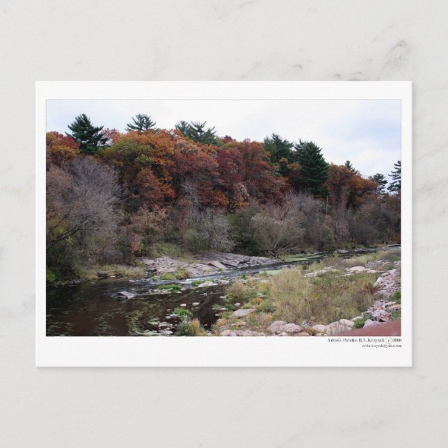 Carte postale Palette de l'artiste (Devant)