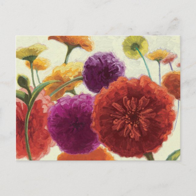 Carte Postale Palette pure Zinnias (Devant)