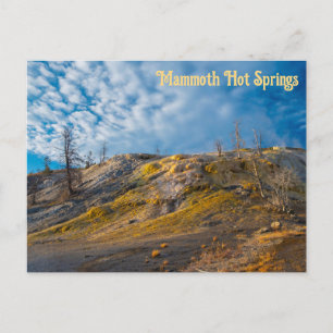 Carte Postale Palette Springs Sunrise Mammoth Hot Springs