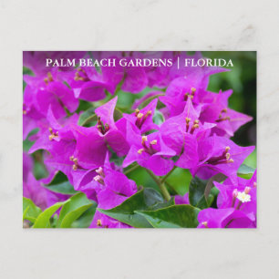 Carte Postale Palm Beach Gardens Floride Voyage Floride