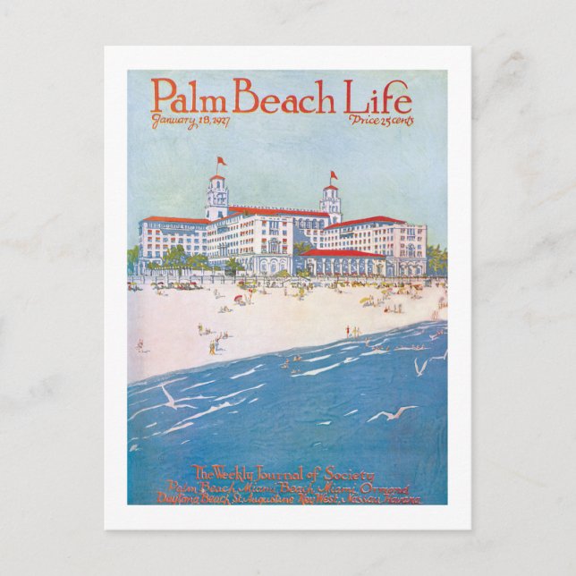 Carte Postale Palm Beach Life #11 postcard (Devant)