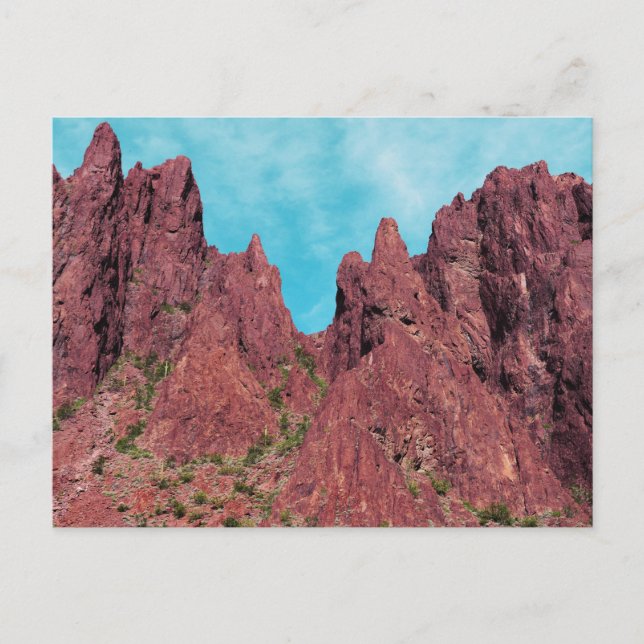Carte Postale Palm Canyon Arizona (Devant)