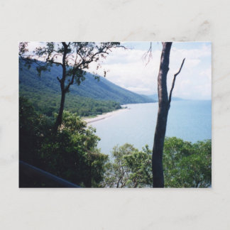 Carte Postale Palm Cove
