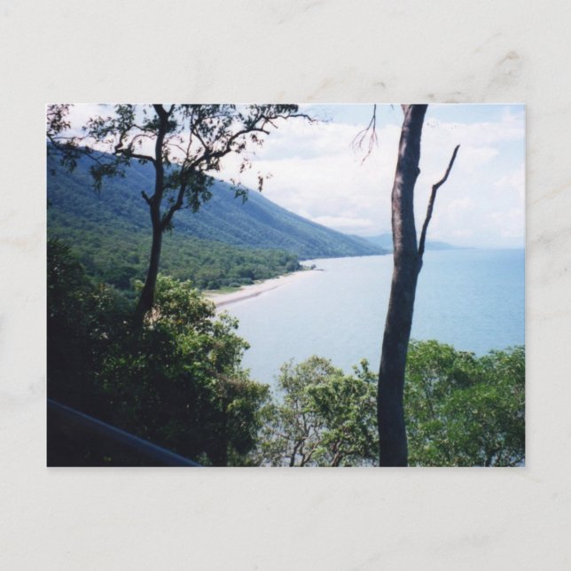 Carte Postale Palm Cove (Devant)