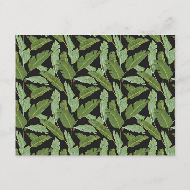 Carte Postale Palm Feuilles 2 (Devant)