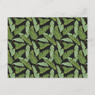 Carte Postale Palm Feuilles 2