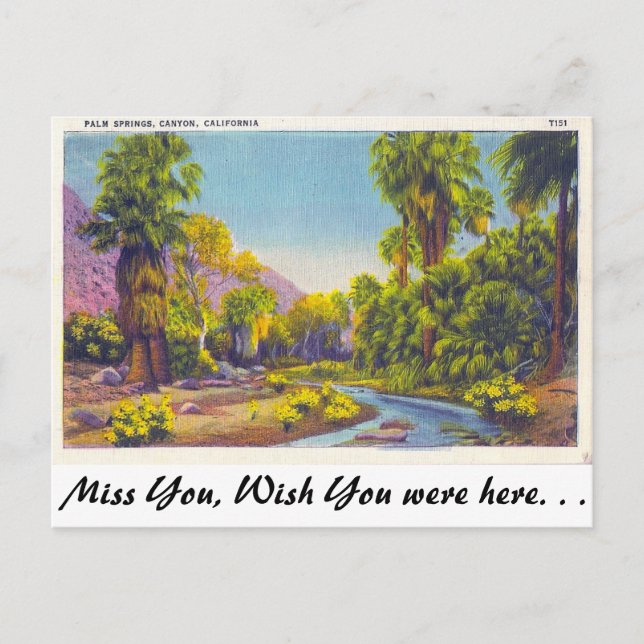 Carte Postale Palm Springs Canyon, Californie (Devant)