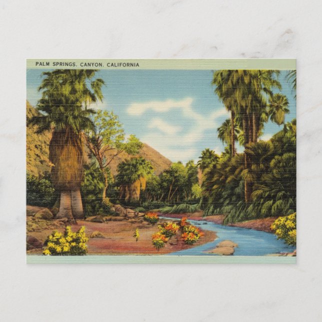 Carte Postale Palm Springs Canyon, Californie (Devant)