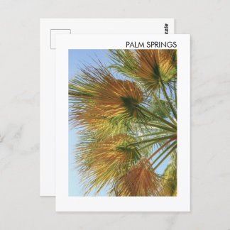 Carte Postale Palm Springs Palm Trees et Palm Fronds
