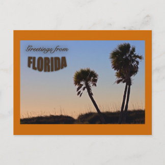 Carte Postale Palm Tree Florida Post Card