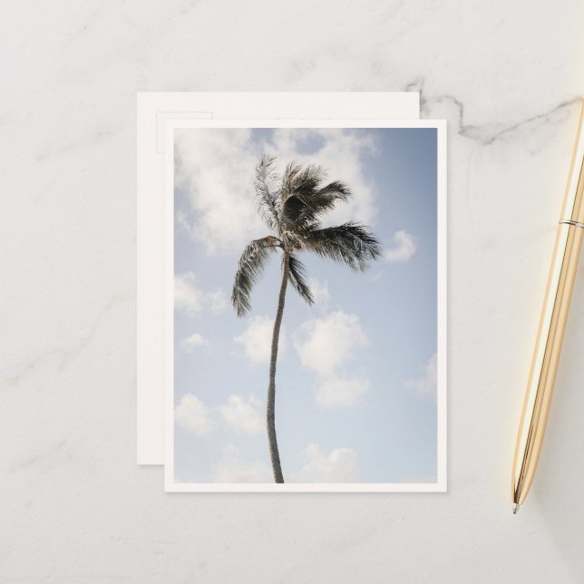 Carte Postale Palm Tree Photo Tropical Beach Hawaii (Devant/Arrière en situation)