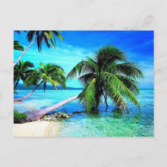 Carte Postale Palm Tree Tropical Island Beach (Devant)