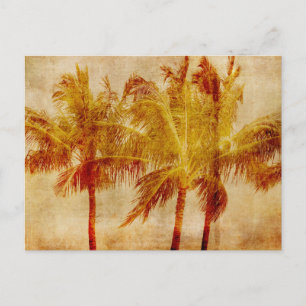 Carte Postale Palm Tree Vintage
