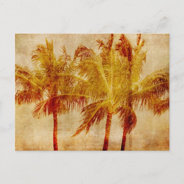 Carte Postale Palm Tree Vintage (Devant)