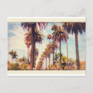 Carte postale Palm Tree vintage