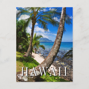 Carte Postale Palm Trees Along Hideaways Beach