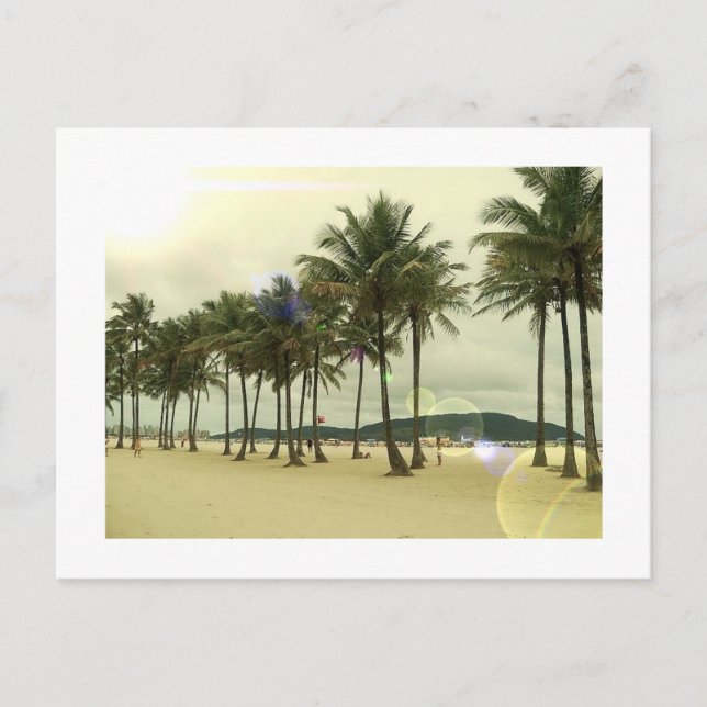 Carte postale Palm Trees Beach (Devant)