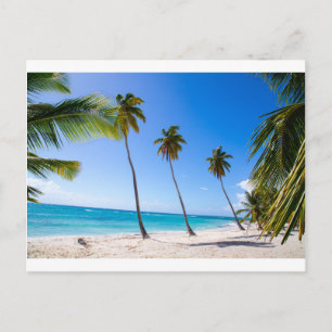 Carte Postale Palm trees on the beach of Isla Saona