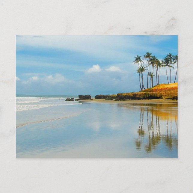 Carte Postale Palm Tropical Beach Côté Destiny (Devant)