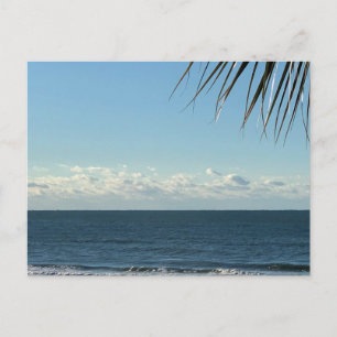 Carte Postale Palmes de bord de mer et vagues océaniques Photogr