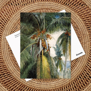 Carte Postale Palmier à coco, Key West Winslow Homer