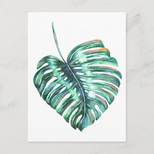 Carte Postale Palmier à feuilles de monstère vert tropical
