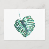 Palmier à feuilles de monstère vert tropical