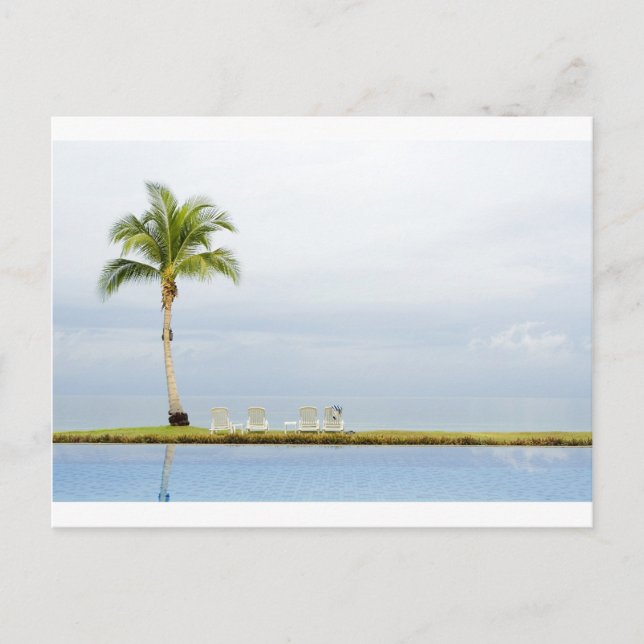 Carte Postale Palmier au bord de la piscine (Devant)