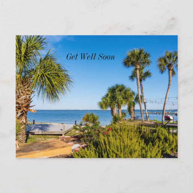 Carte postale "Palmier bord de mer matinée Bon rét (Devant)