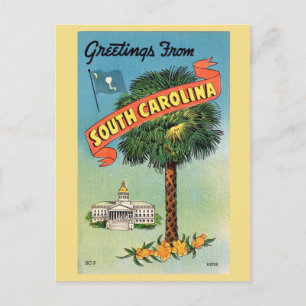 Carte Postale Palmier chou de Caroline du Sud