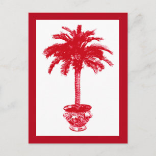 Carte postale Palmier en pot, Rouge foncé et Blanc