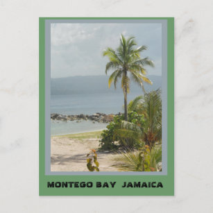 Carte Postale Palmier, Montego Bay Jamaïque juin 2011