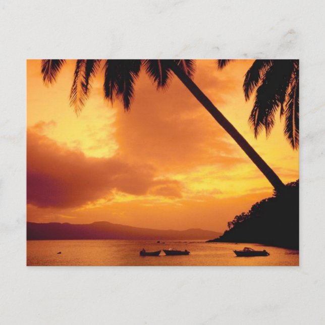 Carte Postale Palmier sur l'eau (Devant)