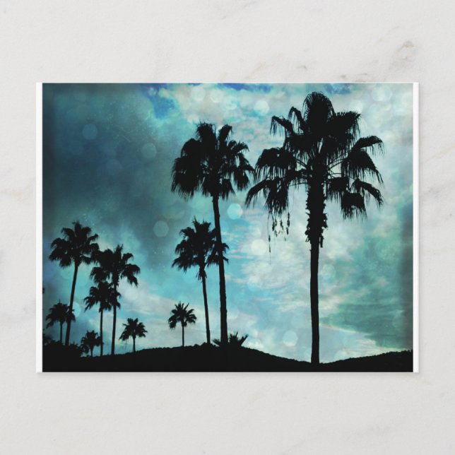 Carte Postale palmiers à crépuscule (Devant)